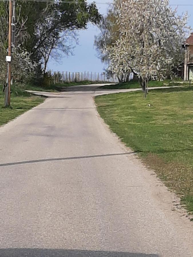 Grapeline Guesthouse Chotin Εξωτερικό φωτογραφία