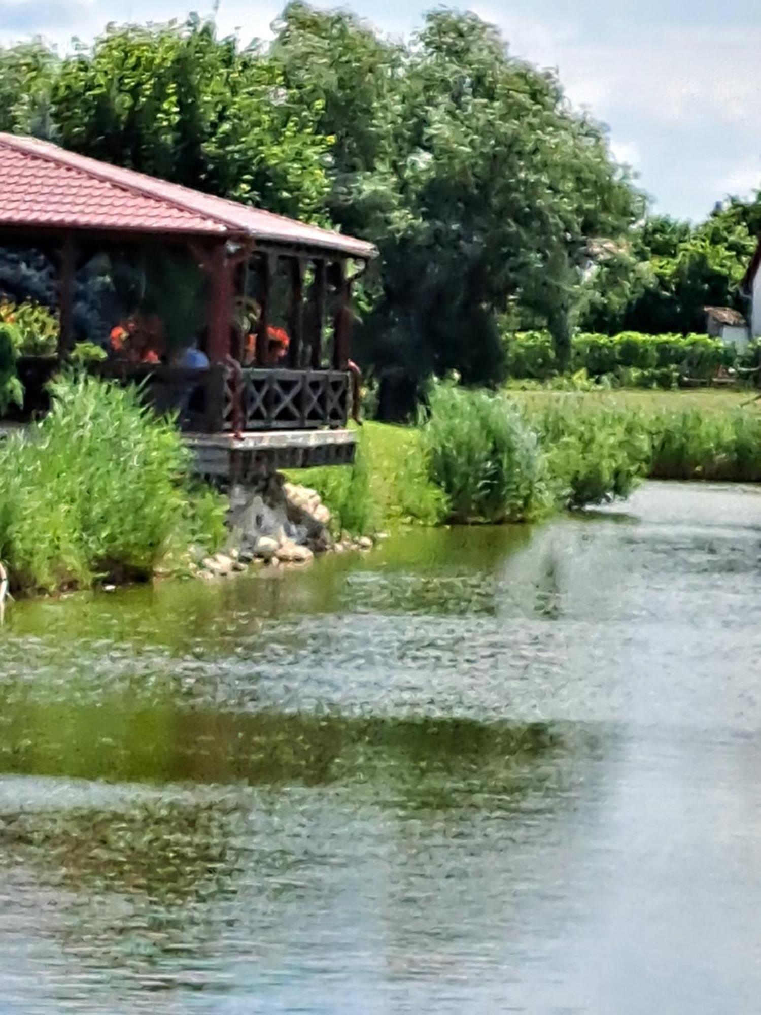 Grapeline Guesthouse Chotin Εξωτερικό φωτογραφία